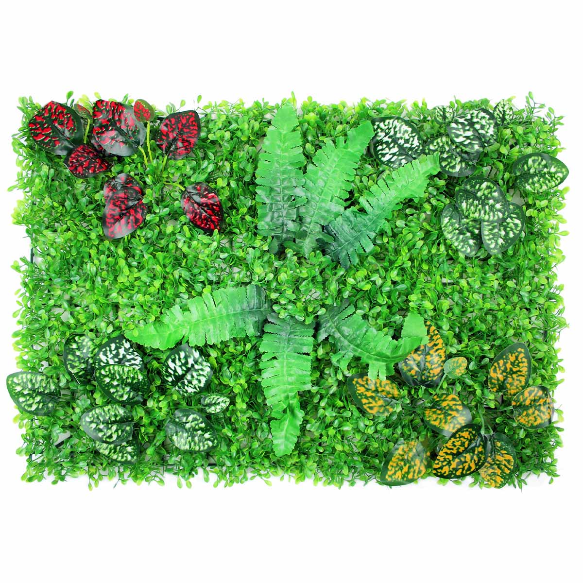 Panel Roślinny - Tropikalna Łąka 40x60 cm